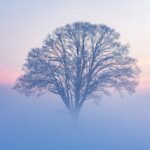 Katman Sosyal Medya Test Uzun Başlıklar Nasıl Gözüküyor Deneme