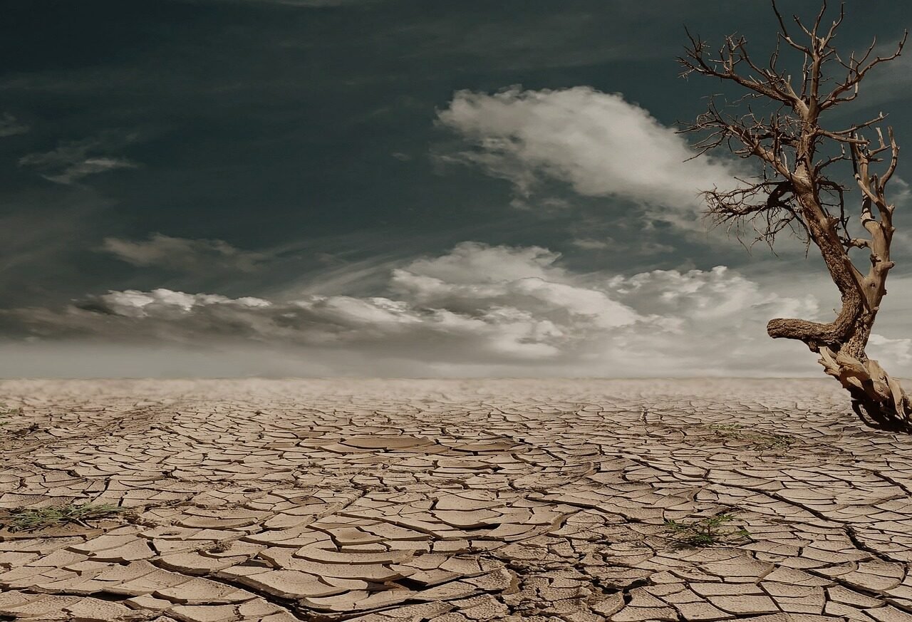 desert, drought, dehydrated, arid, badlands, erosion, tree, dead tree, clouds, horizon, barren, dry soil, dry lands, clay soil, cracked, cracks, dry, hot, devastated, wasteland, nature, deserted
