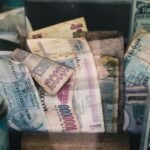 Türkiye’de Enflasyonu Anlamak (II): Enflasyon Tartışmalarında Teorik Çerçeveler