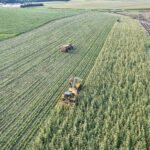 Yapısal Reform Üzerine